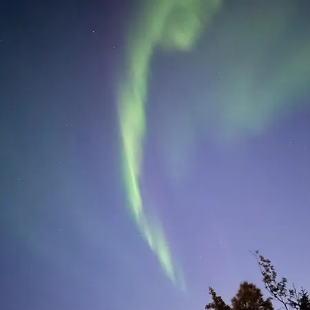 The Aurora Garden - 1Bedroom Apartment - Walking Distance From City Center Tromso Exterior photo