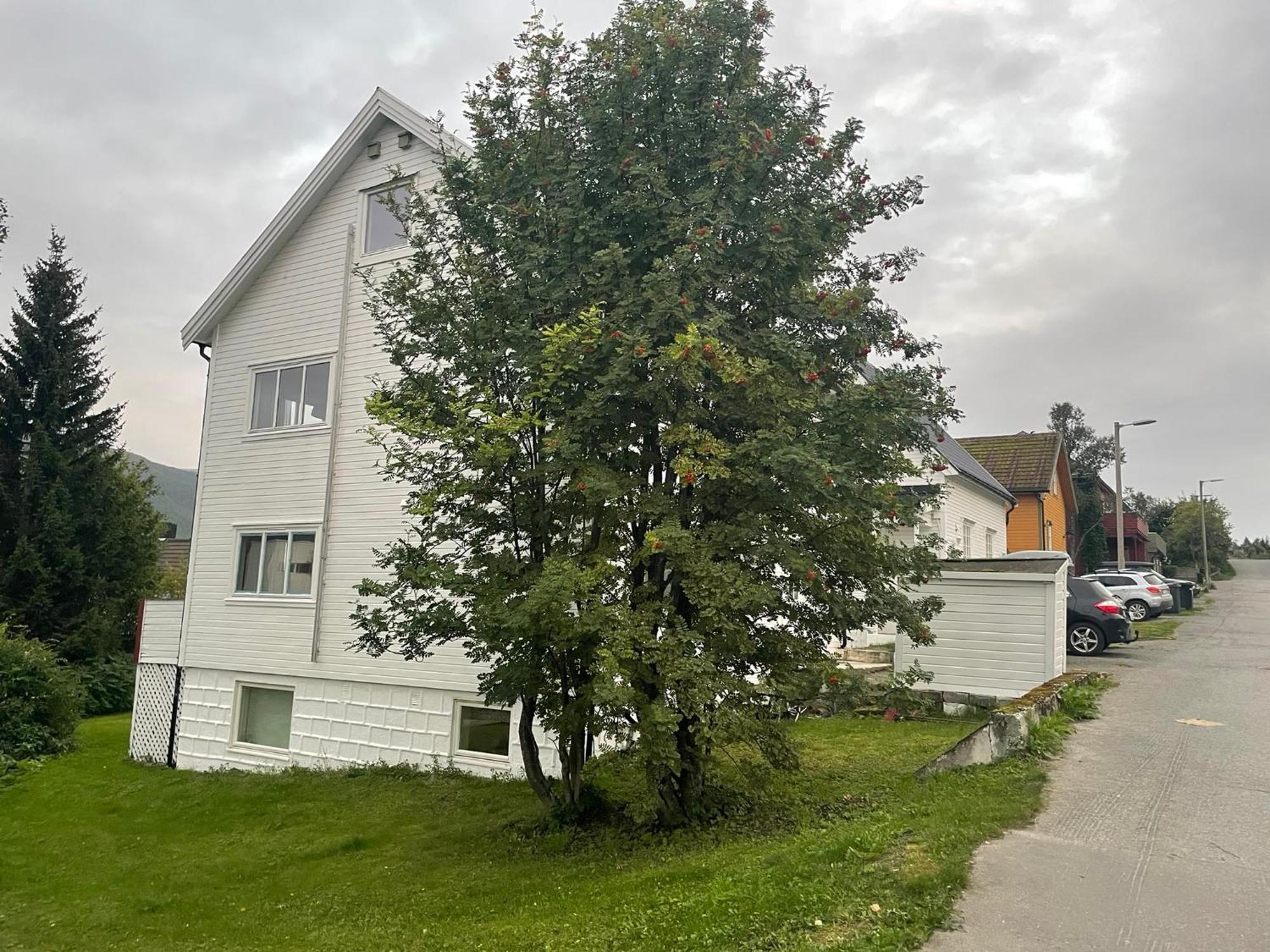 Appartamento The Aurora Garden - 1bedroom - Walking Distance From Center Tromsø